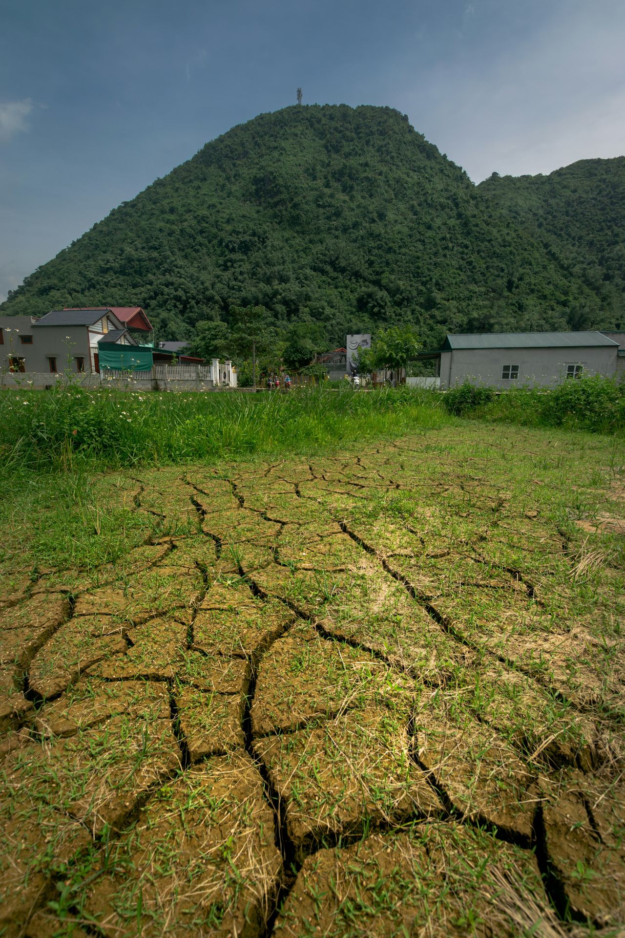 a field that has some grass growing on it
